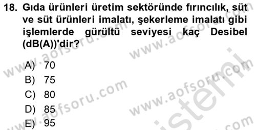 Sektörel İş Sağlığı ve Güvenliği Dersi 2024 - 2025 Yılı (Vize) Ara Sınav Soruları 18. Soru