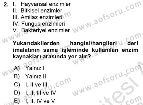 Sektörel İş Sağlığı ve Güvenliği Dersi 2024 - 2025 Yılı (Vize) Ara Sınav Soruları 2. Soru
