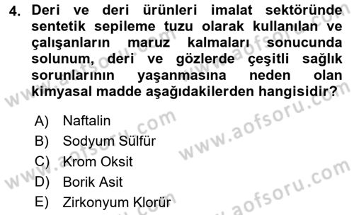 Sektörel İş Sağlığı ve Güvenliği Dersi 2024 - 2025 Yılı (Vize) Ara Sınav Soruları 4. Soru