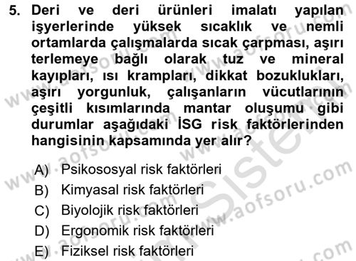 Sektörel İş Sağlığı ve Güvenliği Dersi 2024 - 2025 Yılı (Vize) Ara Sınav Soruları 5. Soru