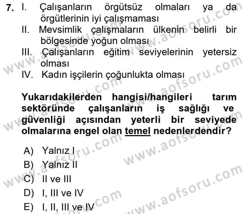 Sektörel İş Sağlığı ve Güvenliği Dersi 2024 - 2025 Yılı (Vize) Ara Sınav Soruları 7. Soru