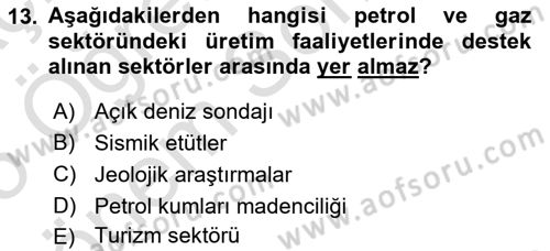 Sektörel İş Sağlığı ve Güvenliği Dersi 2024 - 2025 Yılı (Final) Dönem Sonu Sınav Soruları 13. Soru