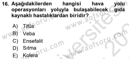 Sektörel İş Sağlığı ve Güvenliği Dersi 2024 - 2025 Yılı (Final) Dönem Sonu Sınav Soruları 16. Soru