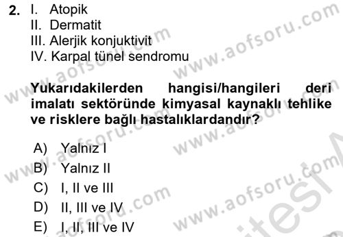 Sektörel İş Sağlığı ve Güvenliği Dersi 2024 - 2025 Yılı (Final) Dönem Sonu Sınav Soruları 2. Soru