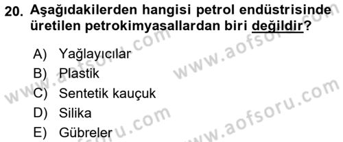 Sektörel İş Sağlığı ve Güvenliği Dersi 2024 - 2025 Yılı (Final) Dönem Sonu Sınav Soruları 20. Soru