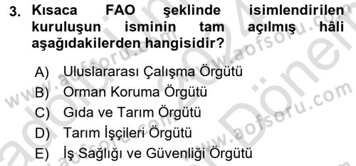Sektörel İş Sağlığı ve Güvenliği Dersi 2024 - 2025 Yılı (Final) Dönem Sonu Sınav Soruları 3. Soru