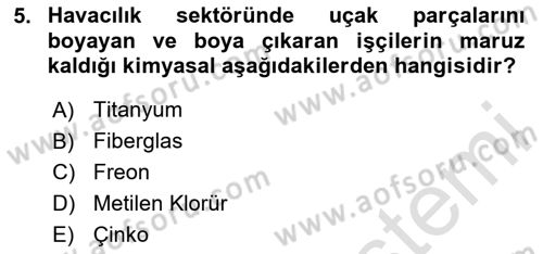 Sektörel İş Sağlığı ve Güvenliği Dersi 2024 - 2025 Yılı (Final) Dönem Sonu Sınav Soruları 5. Soru