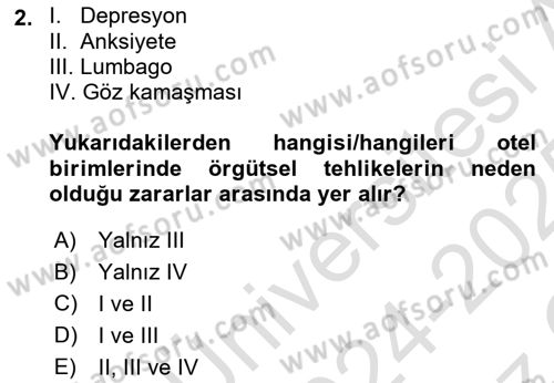 Sektörel İş Sağlığı ve Güvenliği Dersi 2024 - 2025 Yılı Yaz Okulu Sınav Soruları 2. Soru