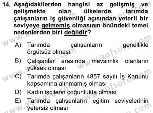 Sektörel İş Sağlığı ve Güvenliği Dersi 2025 - 2026 Yılı (Vize) Ara Sınav Soruları 14. Soru