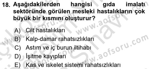 Sektörel İş Sağlığı ve Güvenliği Dersi 2025 - 2026 Yılı (Vize) Ara Sınav Soruları 18. Soru