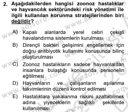 Sektörel İş Sağlığı ve Güvenliği Dersi 2025 - 2026 Yılı (Vize) Ara Sınav Soruları 2. Soru