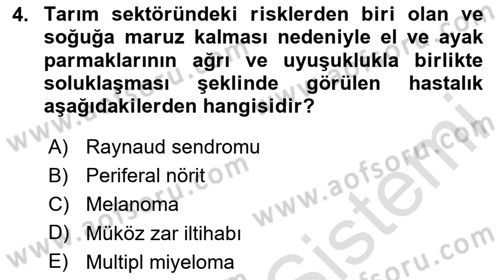 Sektörel İş Sağlığı ve Güvenliği Dersi 2025 - 2026 Yılı (Vize) Ara Sınav Soruları 4. Soru