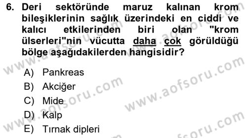 Sektörel İş Sağlığı ve Güvenliği Dersi 2025 - 2026 Yılı (Vize) Ara Sınav Soruları 6. Soru