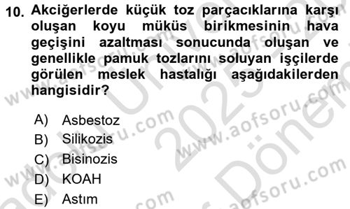 Sektörel İş Sağlığı ve Güvenliği Dersi 2025 - 2026 Yılı (Final) Dönem Sonu Sınav Soruları 10. Soru