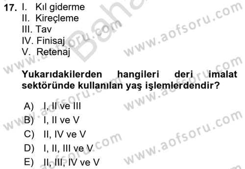 Sektörel İş Sağlığı ve Güvenliği Dersi 2025 - 2026 Yılı (Final) Dönem Sonu Sınav Soruları 17. Soru