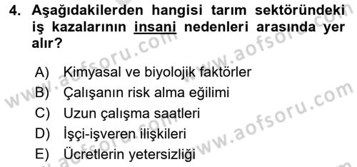 Sektörel İş Sağlığı ve Güvenliği Dersi 2025 - 2026 Yılı (Final) Dönem Sonu Sınav Soruları 4. Soru
