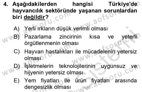 Sektörel İş Sağlığı ve Güvenliği Dersi 2025 - 2026 Yılı Yaz Okulu Sınav Soruları 4. Soru