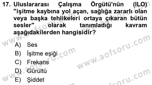 İş Sağlığı ve Güvenliği Donanımları ve Ölçme Teknikleri Dersi 2021 - 2022 Yılı Yaz Okulu Sınav Soruları 17. Soru