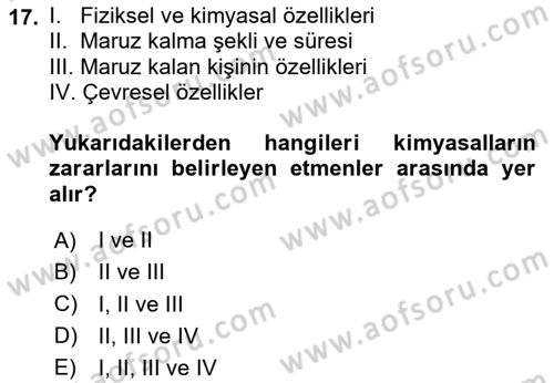 İş Sağlığı ve Güvenliği Donanımları ve Ölçme Teknikleri Dersi 2023 - 2024 Yılı Yaz Okulu Sınav Soruları 17. Soru