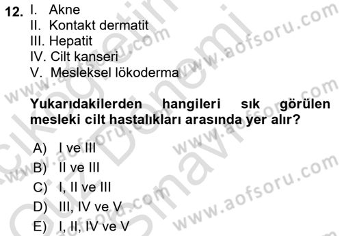 İş Sağlığı ve Güvenliği Donanımları ve Ölçme Teknikleri Dersi 2024 - 2025 Yılı (Final) Dönem Sonu Sınav Soruları 12. Soru