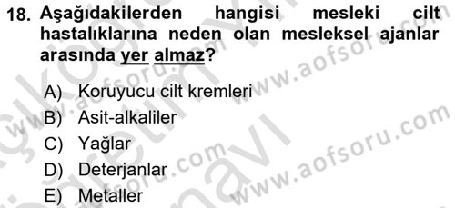 İş Sağlığı ve Güvenliği Donanımları ve Ölçme Teknikleri Dersi 2024 - 2025 Yılı Yaz Okulu Sınav Soruları 18. Soru