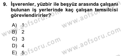 İş Sağlığı ve Güvenliği Donanımları ve Ölçme Teknikleri Dersi 2024 - 2025 Yılı Yaz Okulu Sınav Soruları 9. Soru