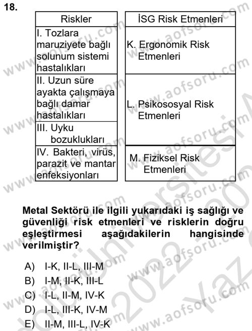 Maden, Metal ve İnşaat Sektörlerinde İş Sağlığı ve Güvenliği Dersi 2022 - 2023 Yılı Yaz Okulu Sınav Soruları 18. Soru