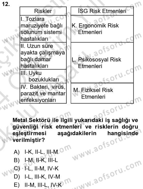 Maden, Metal ve İnşaat Sektörlerinde İş Sağlığı ve Güvenliği Dersi 2023 - 2024 Yılı Yaz Okulu Sınav Soruları 12. Soru