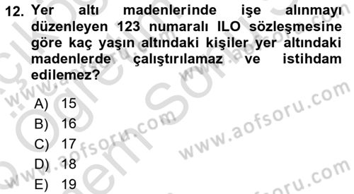 Maden, Metal ve İnşaat Sektörlerinde İş Sağlığı ve Güvenliği Dersi 2025 - 2026 Yılı (Final) Dönem Sonu Sınav Soruları 12. Soru