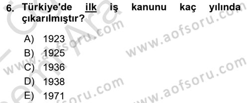 İş Sağlığı Yönetimi Dersi 2021 - 2022 Yılı (Vize) Ara Sınav Soruları 6. Soru