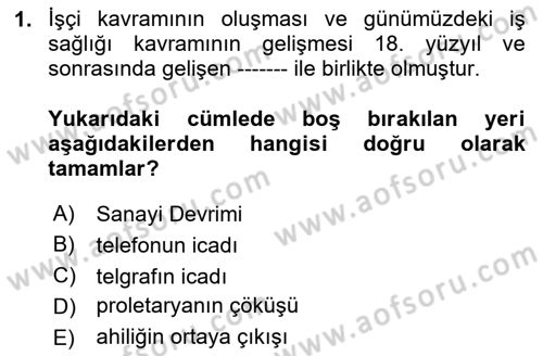 İş Sağlığı Yönetimi Dersi 2024 - 2025 Yılı Yaz Okulu Sınav Soruları 1. Soru