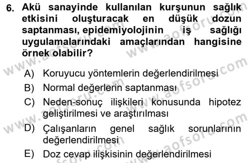 İş Sağlığı Yönetimi Dersi 2024 - 2025 Yılı Yaz Okulu Sınav Soruları 6. Soru