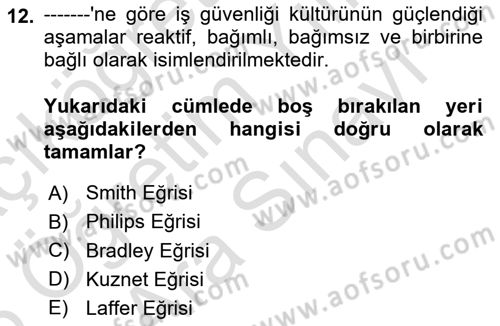 İş Sağlığı Yönetimi Dersi 2025 - 2026 Yılı (Vize) Ara Sınav Soruları 12. Soru
