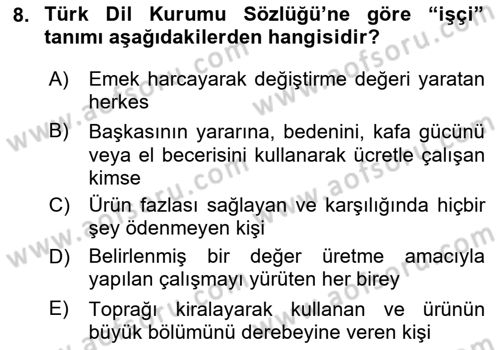 İş Sağlığı Yönetimi Dersi 2025 - 2026 Yılı (Vize) Ara Sınav Soruları 8. Soru