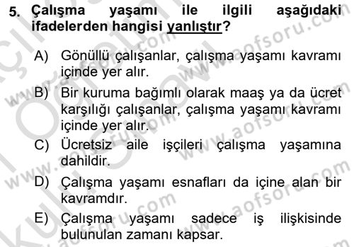 İş Yaşaminda Risk Etmenleri Ve Yönetimsel Faktörler Dersi 2020 - 2021 Yılı Yaz Okulu Sınav Soruları 5. Soru