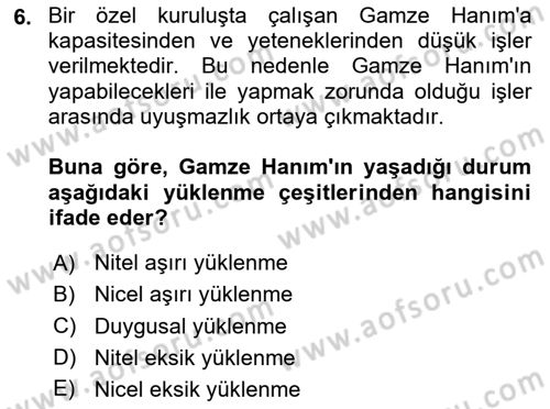 İş Yaşaminda Risk Etmenleri Ve Yönetimsel Faktörler Dersi 2020 - 2021 Yılı Yaz Okulu Sınav Soruları 6. Soru