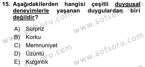 İş Yaşaminda Risk Etmenleri Ve Yönetimsel Faktörler Dersi Ara Sınavı Deneme Sınav Soruları 15. Soru