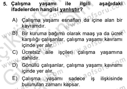 İş Yaşaminda Risk Etmenleri Ve Yönetimsel Faktörler Dersi 2021 - 2022 Yılı (Vize) Ara Sınavı 5. Soru