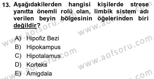 İş Yaşaminda Risk Etmenleri Ve Yönetimsel Faktörler Dersi 2021 - 2022 Yılı (Final) Dönem Sonu Sınav Soruları 13. Soru