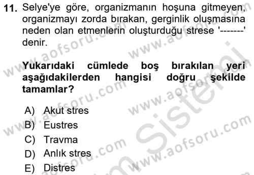 İş Yaşaminda Risk Etmenleri Ve Yönetimsel Faktörler Dersi 2021 - 2022 Yılı Yaz Okulu Sınav Soruları 11. Soru
