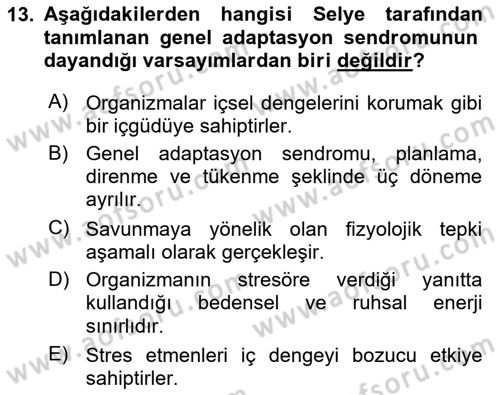 İş Yaşaminda Risk Etmenleri Ve Yönetimsel Faktörler Dersi 2021 - 2022 Yılı Yaz Okulu Sınav Soruları 13. Soru