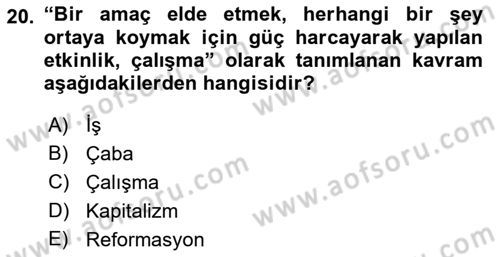İş Yaşaminda Risk Etmenleri Ve Yönetimsel Faktörler Dersi 2021 - 2022 Yılı Yaz Okulu Sınav Soruları 20. Soru
