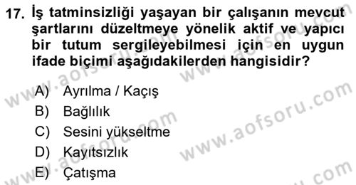 İş Yaşaminda Risk Etmenleri Ve Yönetimsel Faktörler Dersi Ara Sınavı Deneme Sınav Soruları 17. Soru