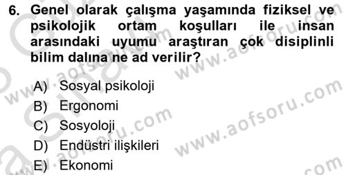 İş Yaşaminda Risk Etmenleri Ve Yönetimsel Faktörler Dersi 2022 - 2023 Yılı (Vize) Ara Sınavı 6. Soru