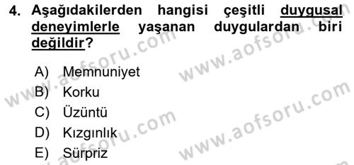 İş Yaşaminda Risk Etmenleri Ve Yönetimsel Faktörler Dersi 2022 - 2023 Yılı (Final) Dönem Sonu Sınav Soruları 4. Soru