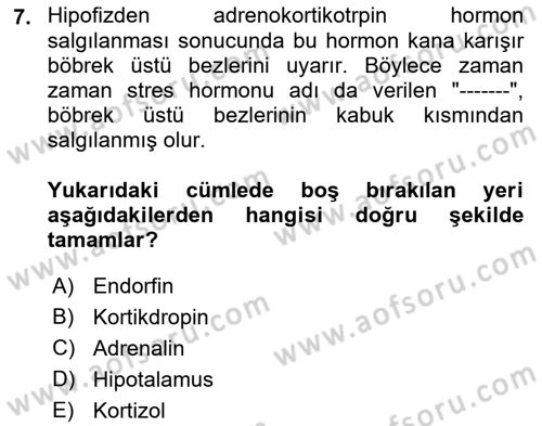 İş Yaşaminda Risk Etmenleri Ve Yönetimsel Faktörler Dersi 2022 - 2023 Yılı (Final) Dönem Sonu Sınav Soruları 7. Soru