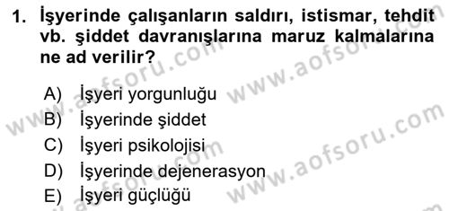 İş Yaşaminda Risk Etmenleri Ve Yönetimsel Faktörler Dersi 2022 - 2023 Yılı Yaz Okulu Sınav Soruları 1. Soru