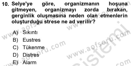 İş Yaşaminda Risk Etmenleri Ve Yönetimsel Faktörler Dersi 2022 - 2023 Yılı Yaz Okulu Sınav Soruları 10. Soru