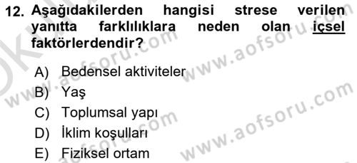 İş Yaşaminda Risk Etmenleri Ve Yönetimsel Faktörler Dersi 2022 - 2023 Yılı Yaz Okulu Sınav Soruları 12. Soru