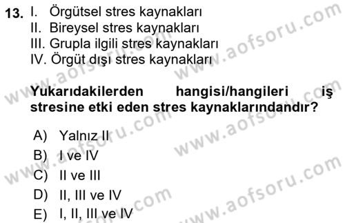 İş Yaşaminda Risk Etmenleri Ve Yönetimsel Faktörler Dersi 2022 - 2023 Yılı Yaz Okulu Sınav Soruları 13. Soru